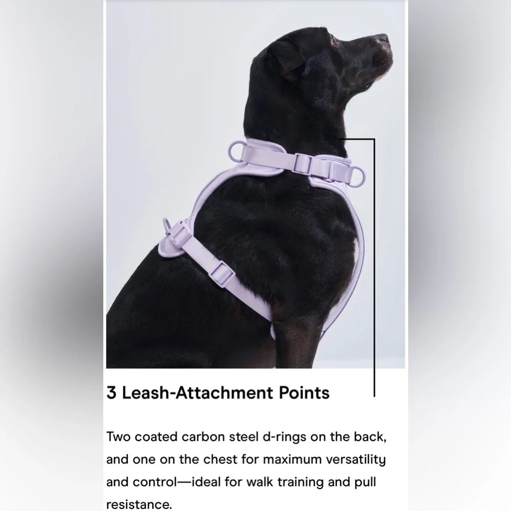 Wild One Dog Harness - Medium - Spruce Green